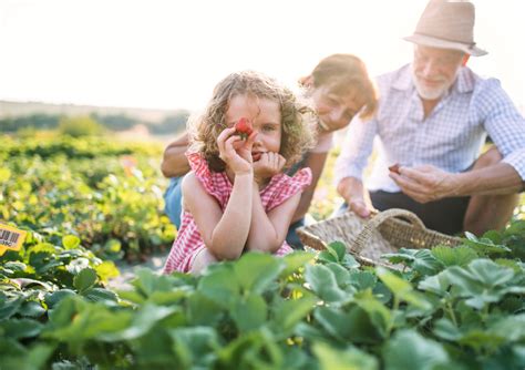 Local Farms For Kids In and Around Charlotte | Charlotte Mom