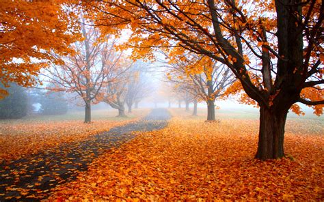 🔥 [70+] Fall Landscape Wallpapers | WallpaperSafari