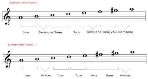 The diatonic scales. The definitive guide