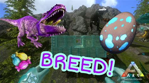 ARK SURVIVAL EVOLVED MOBILE GIGA BREEDING - YouTube