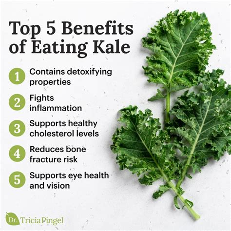 12 Great Benefits of Eating Kale Everyday for A Healthy Life - How To Ripe