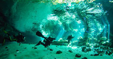 Cenotes | CenoteXperience - Cavern, Cave and Ocean Diving in Playa del ...