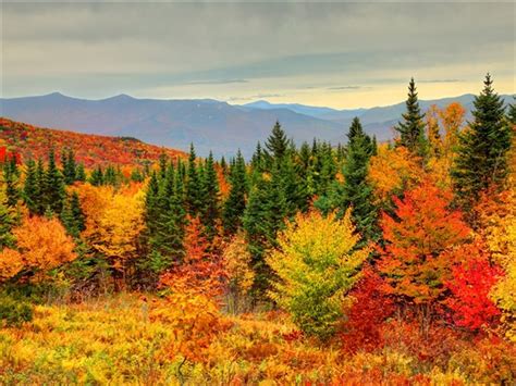 New England Fall Foliage