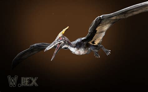 Pteranodon jurassic park 3 by Wolfhooligans on DeviantArt