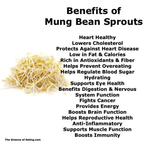 mung bean sprouts health benefits