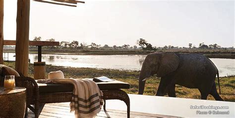 Top 10 Best Okavango Delta Luxury Safari Lodges & Camps – SafariBookings