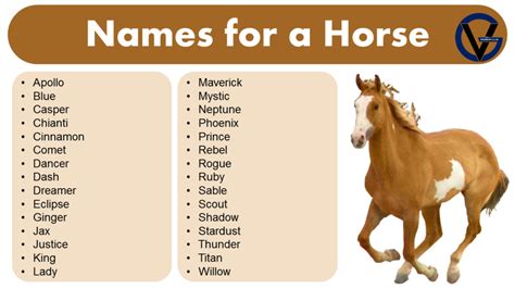 List of Names for a Horse | Naming Ideas - GrammarVocab