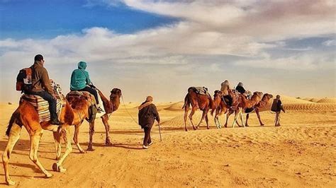 Your Ultimate Guide To The Desert in Tunisia - The Sahara You want To ...