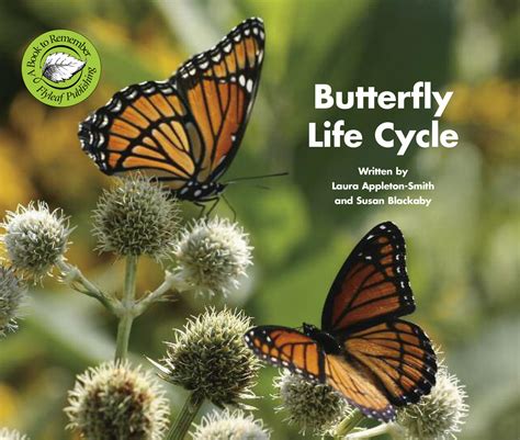 Decodable Books | Butterfly Life Cycle