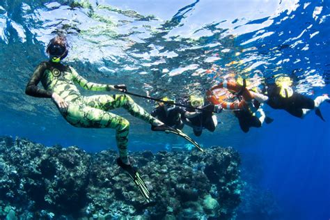 Snorkel The Great Barrier Reef: Do I need to be a good swimmer ...