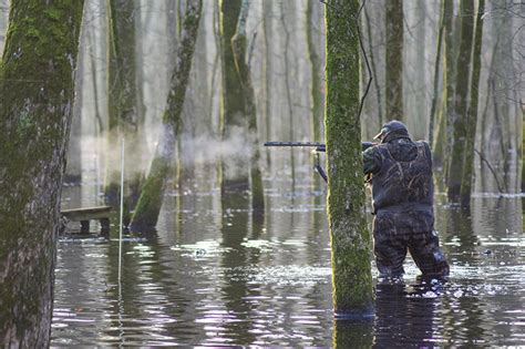 Duck-Hunting Culture of the Mississippi Delta - Wildfowl