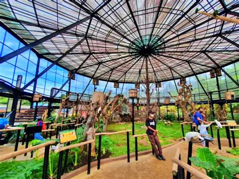 Tiket, jam buka dan aktivitas Lembang Park Zoo - WisataHits