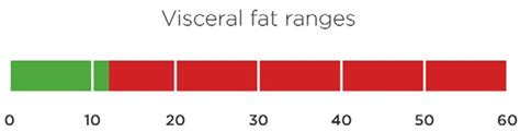 Visceral Fat- Causes, Risks and Ways to Reduce Visceral Fat