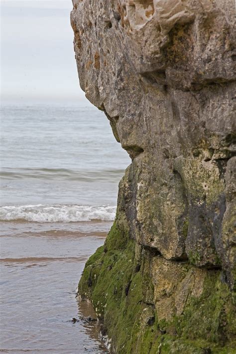 Wave Cut Notch | The Geography Site