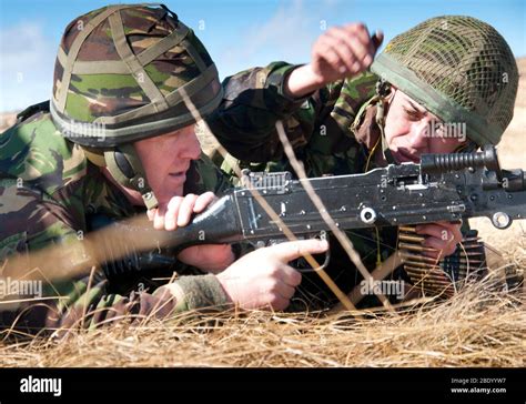 Territorial soldiers from the 5th Battalion the Royal Regiment of ...