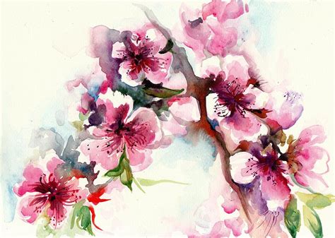 Sakura - Cherry Tree Blossom Watercolor Painting by Tiberiu Soos