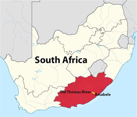 About - World Transformation Movement Eastern Cape, South Africa