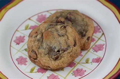 Alton Brown Chewy Chocolate Chip Cookies - Cookie Madness