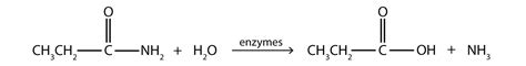 15.17 Chemical Properties of Amides: Hydrolysis | The Basics of General ...