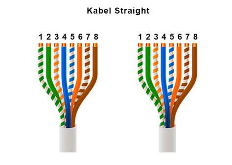 Urutan Kabel Straight dan Cross - LamanIT