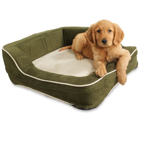 The Medium Superior Heated Dog Bed - Hammacher Schlemmer