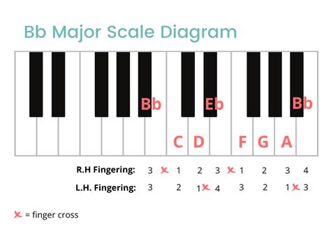 Bb Major Scale On The Piano - Notes, Fingerings & More