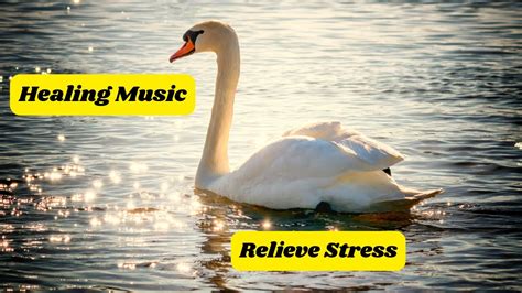 Healing Music to Relieve Stress With Nature Sound / mp3 Musical ...