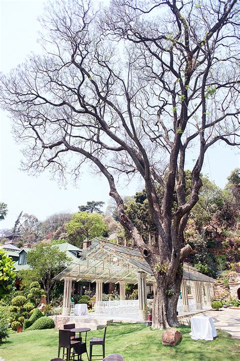 Most Gorgeous Johannesburg Wedding at Shepstone Gardens