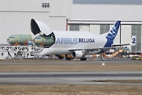 Airbus Beluga Vs Boeing Dreamlifter - Which Fuselage Transporter Is ...