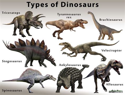 Dinosaurs: List of Types & Names with Facts & Pictures