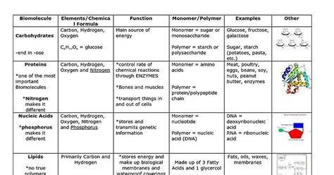 Macromolecules Chart Functions Examples Macro Pictures Basketball