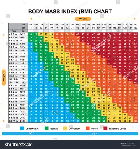 Bmi Chart Poster Body Mass Index Poster 18 X 24 Poster Laminated ...