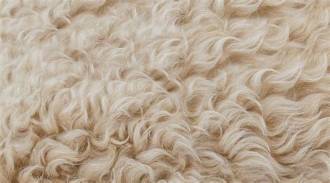 Natural Fibres for Upholstery - Signature Upholstery