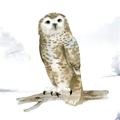 Snowy owl in winter watercolor style vector - Download Free Vectors ...