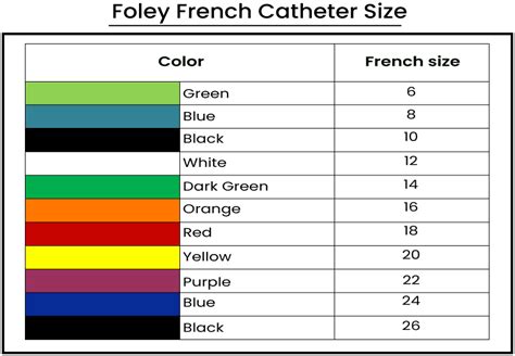 Foley Catheter Sizes: How to Choose the Right Catheter Size?