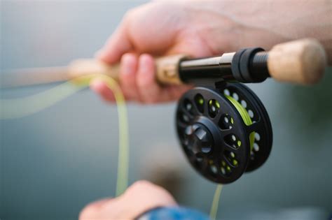 5 Fly Fishing Tips For Beginners - The Insidexpress