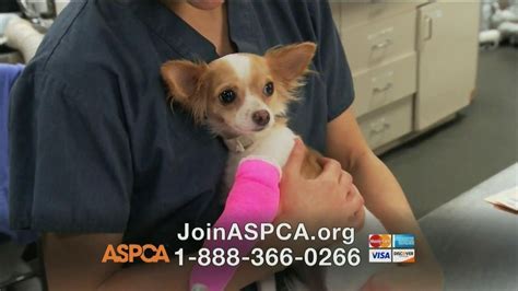 ASPCA TV Commercial, 'Dogs' - iSpot.tv