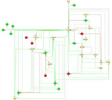 Representation of the gene regulatory network formed by 32 genes and 91 ...