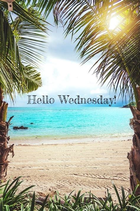 Happy Wednesday coastal lovers~ | Happy wednesday quotes, Happy ...