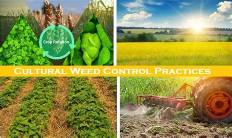 8 Best Mechanical weed control methods with Merits Demerits - Basic ...