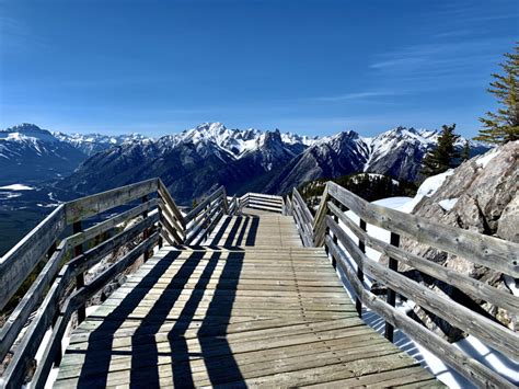 Banff's Sulphur Mountain Hike: Everything You Need to Know - The ...