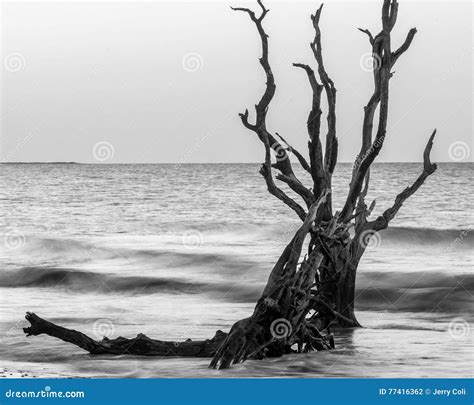 Sunrise at Botany Bay Plantation, Edisto Island, South Carolina Stock ...