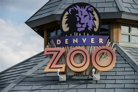 Threat at Denver Zoo Shuts Down Park