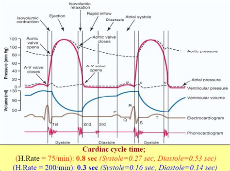 the diagram shows an image of various waves and their amplitudes