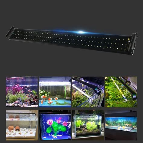 ICOCO 120 White & 24 Blue LEDs Fish Aquarium Light Super Bright Fish ...