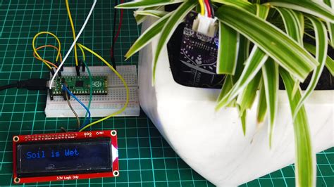 Measure Soil Moisture Sensor Using Raspberry Pi Pico And Maker Soil ...