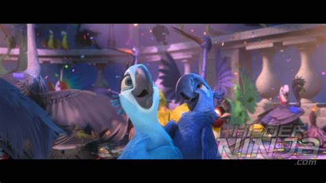 Rio 2 Blu-ray review | Hi-Def Ninja - Blu-ray SteelBooks - Pop Culture ...