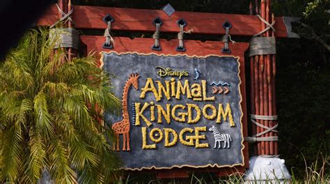 3. Animal Kingdom Lodge Restaurant Tours | Disney Dining