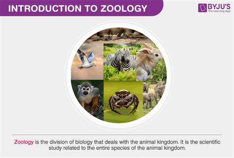 Zoology - Introduction, Branches and Importance of Zoology