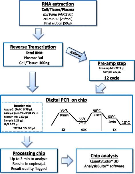 Workflow of a digital PCR experiment | Download Scientific Diagram